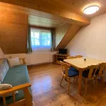 Unterfuchs Apartment Schladming