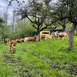 Unterfuchs *