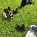 아파트 Unterfuchs