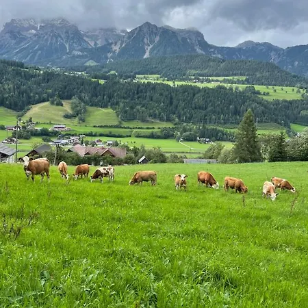 Apartment Unterfuchs *