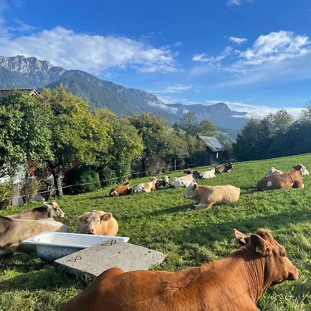 Unterfuchs Appartement Schladming