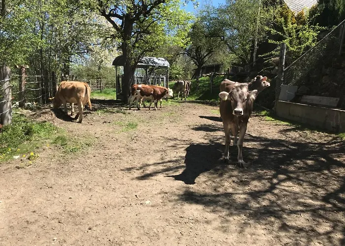 Unterfuchs * Schladming
