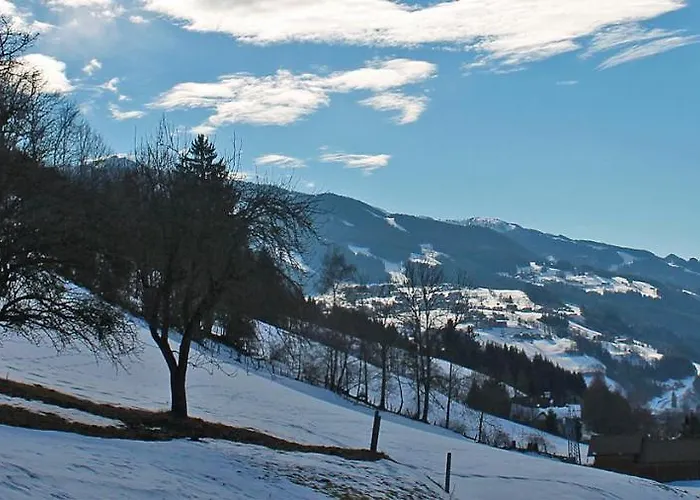 Unterfuchs * Schladming