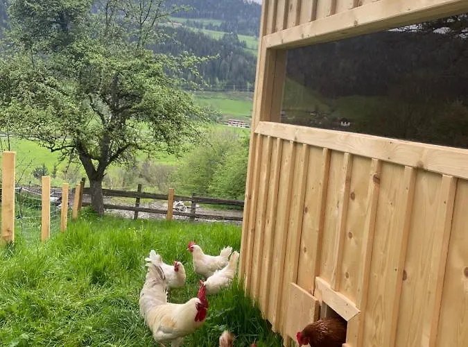 Apartment Unterfuchs *