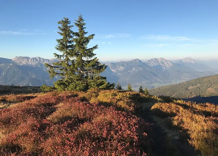 Unterfuchs Schladming