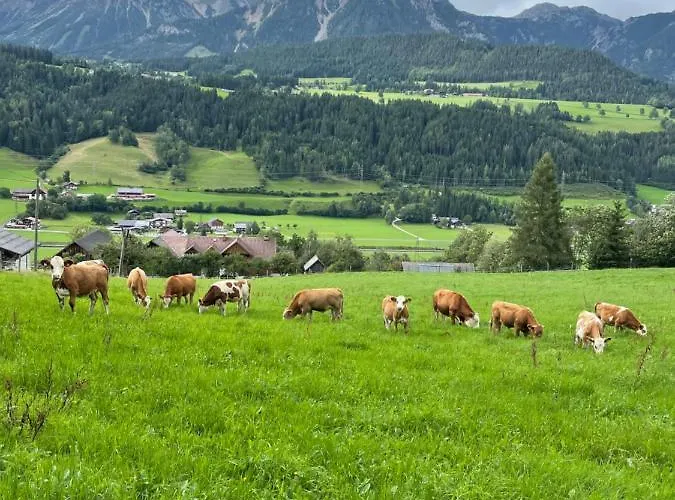 Apartment Unterfuchs *