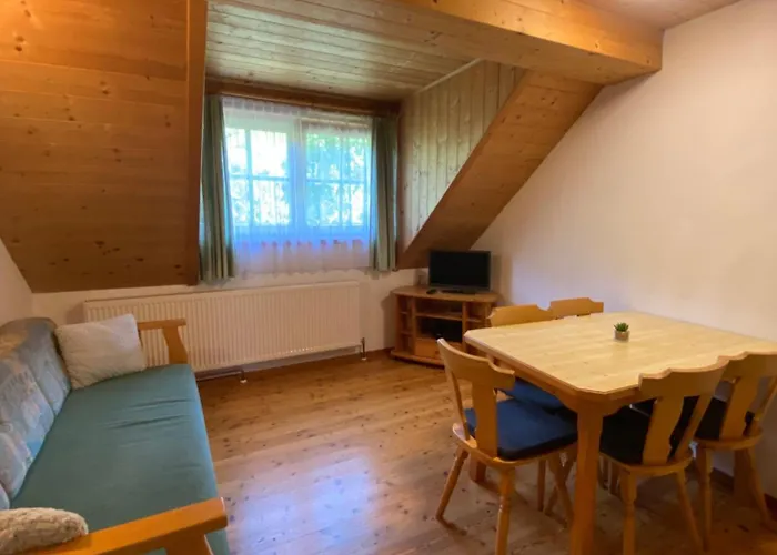 Unterfuchs Apartment Schladming