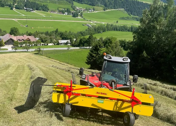 Apartment Unterfuchs