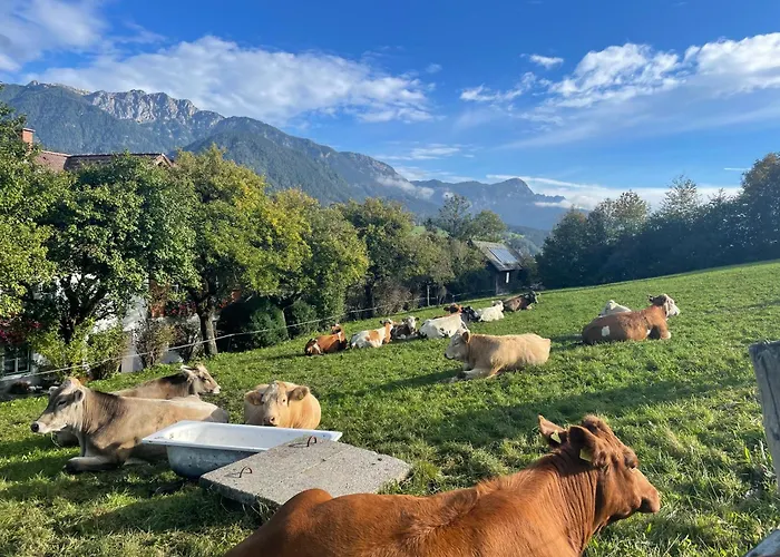 Unterfuchs Apartment Schladming